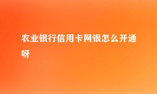 农业银行信用卡网银怎么开通呀