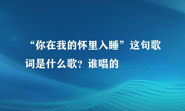 “你在我的怀里入睡”这句歌词是什么歌？谁唱的