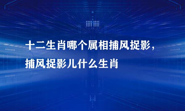 十二生肖哪个属相捕风捉影，捕风捉影儿什么生肖