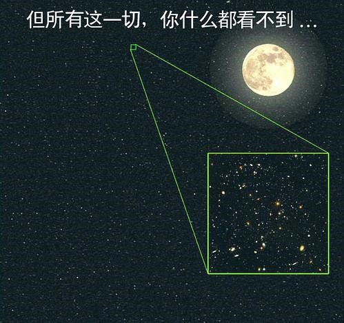 已知最大的星体是哪个?