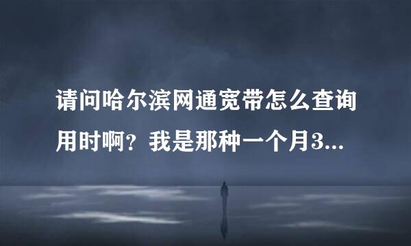 请问哈尔滨网通宽带怎么查询用时啊？我是那种一个月300过一小时3元的那种