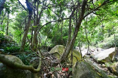 顺义旅游景点大全