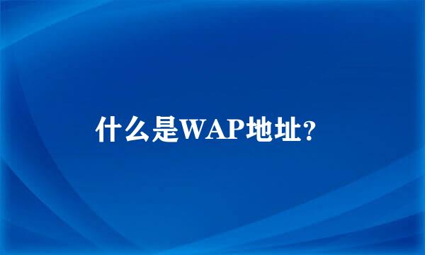 什么是WAP地址？