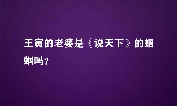 王寅的老婆是《说天下》的蝈蝈吗？