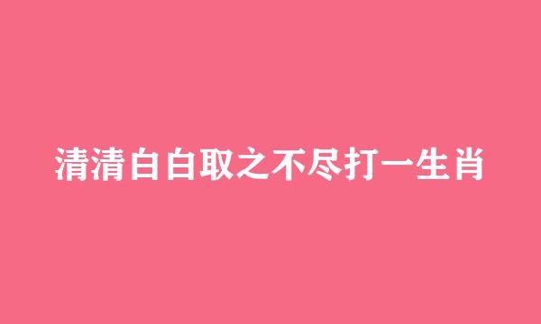 清清白白取之不尽打一生肖