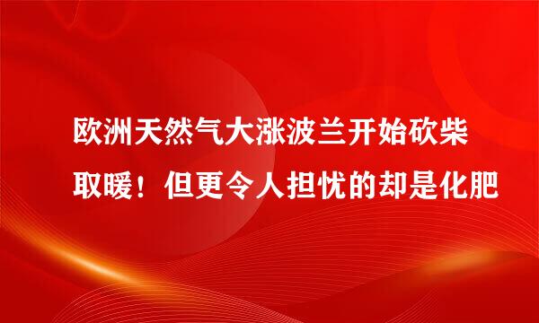 欧洲天然气大涨波兰开始砍柴取暖！但更令人担忧的却是化肥