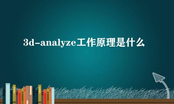 3d-analyze工作原理是什么