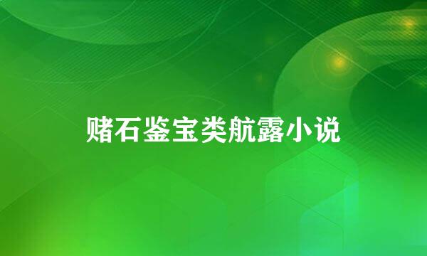 赌石鉴宝类航露小说