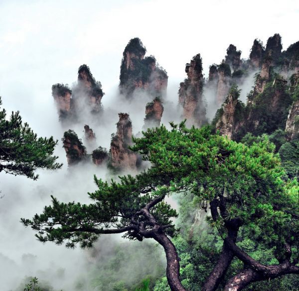 张家界旅游最佳路线怎么走？