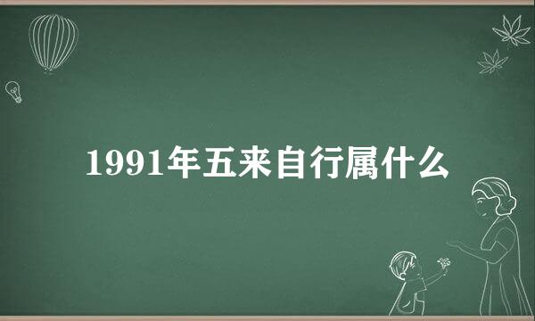 1991年五来自行属什么