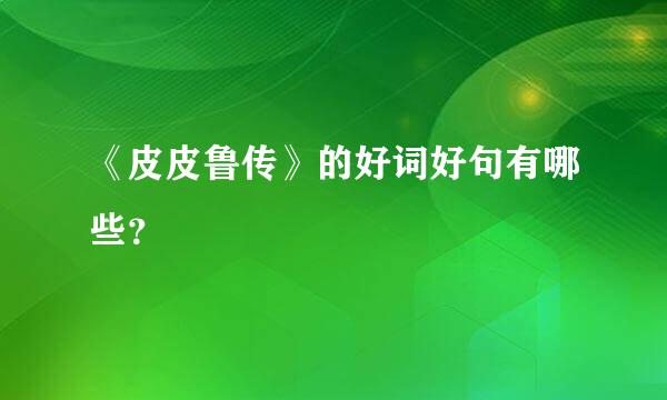 《皮皮鲁传》的好词好句有哪些？