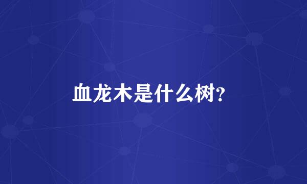 血龙木是什么树？