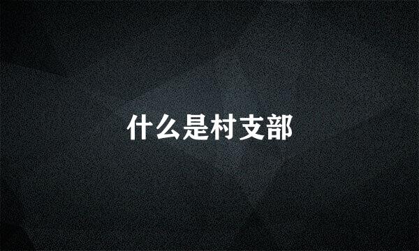 什么是村支部