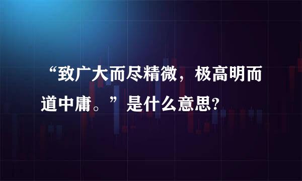 “致广大而尽精微，极高明而道中庸。”是什么意思?