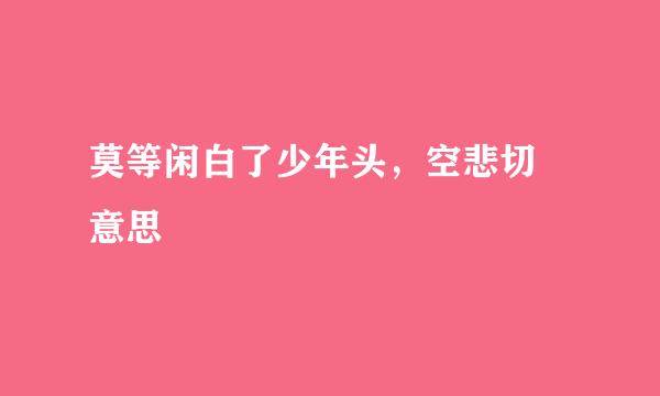 莫等闲白了少年头，空悲切 意思