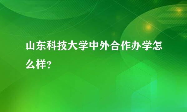 山东科技大学中外合作办学怎么样？