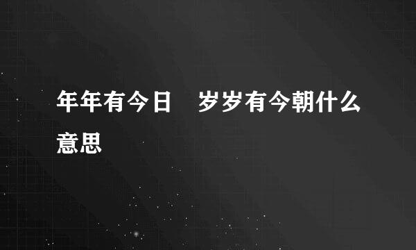 年年有今日 岁岁有今朝什么意思