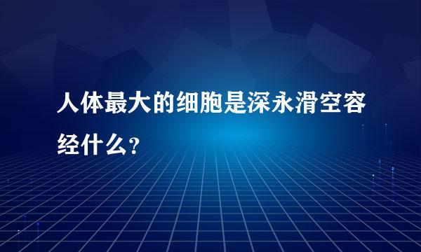 人体最大的细胞是深永滑空容经什么？