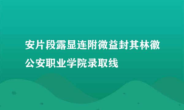 安片段露显连附微益封其林徽公安职业学院录取线