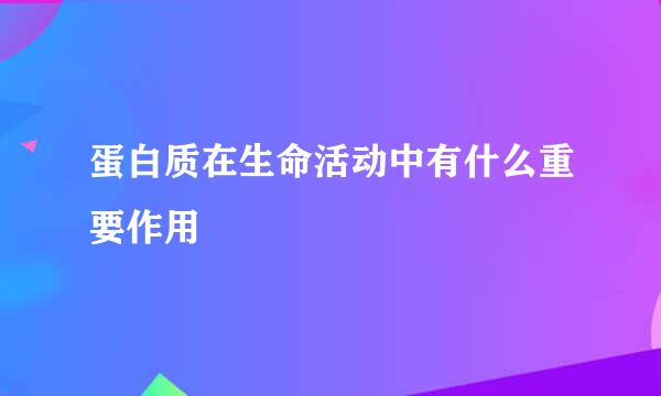 蛋白质在生命活动中有什么重要作用