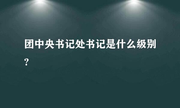 团中央书记处书记是什么级别?