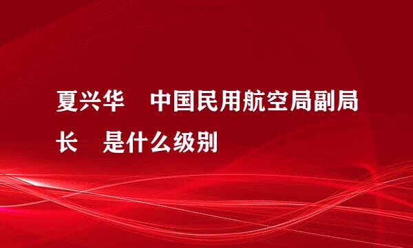 夏兴华 中国民用航空局副局长 是什么级别