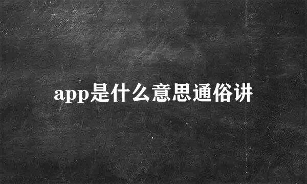 app是什么意思通俗讲