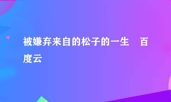 被嫌弃来自的松子的一生 百度云