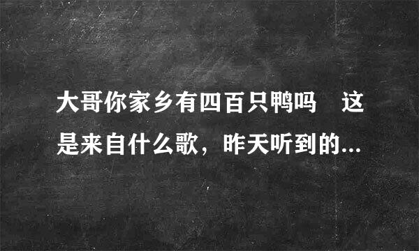 大哥你家乡有四百只鸭吗 这是来自什么歌，昨天听到的，只记得一点歌词了