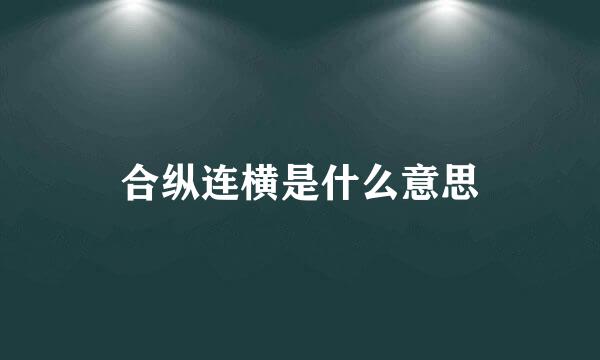 合纵连横是什么意思