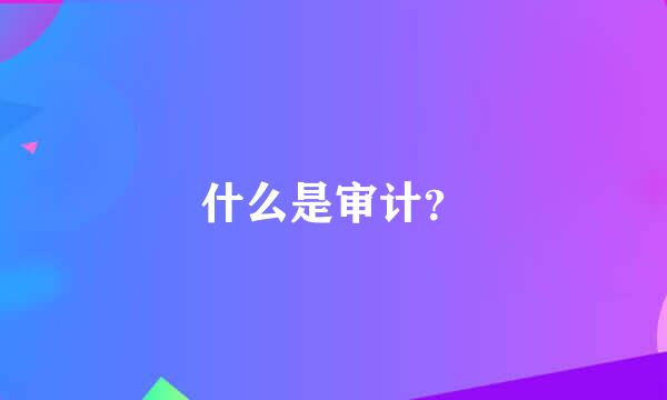 什么是审计？