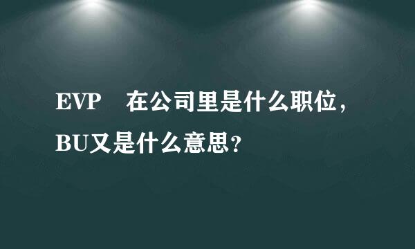 EVP 在公司里是什么职位，BU又是什么意思？