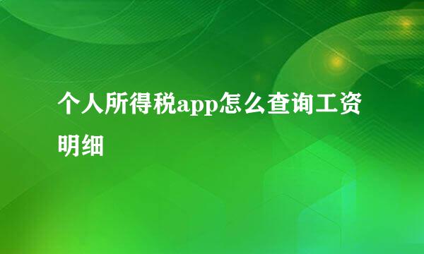 个人所得税app怎么查询工资明细