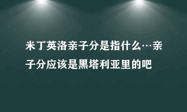 米丁英洛亲子分是指什么…亲子分应该是黑塔利亚里的吧