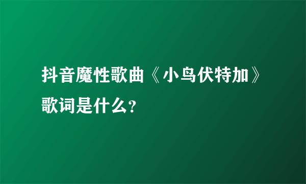 抖音魔性歌曲《小鸟伏特加》歌词是什么？