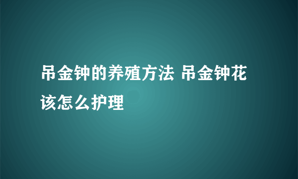 吊金钟的养殖方法 吊金钟花该怎么护理