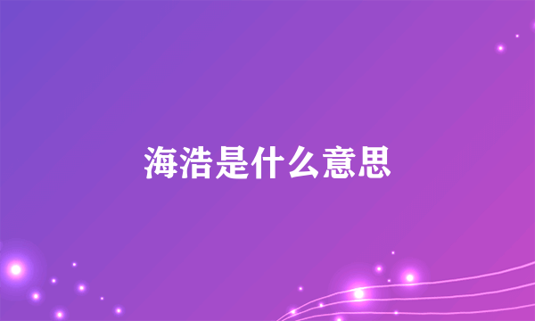 海浩是什么意思