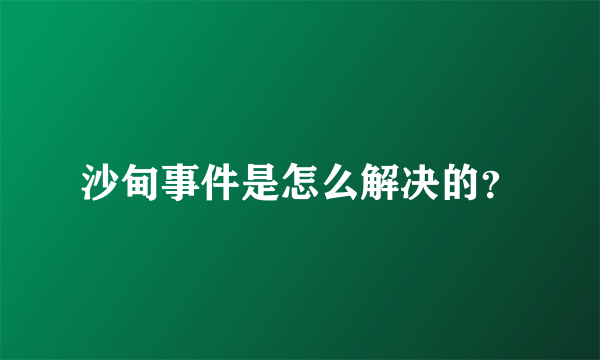 沙甸事件是怎么解决的？