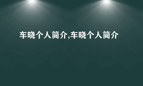 车晓个人简介,车晓个人简介