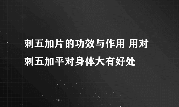 刺五加片的功效与作用 用对刺五加平对身体大有好处