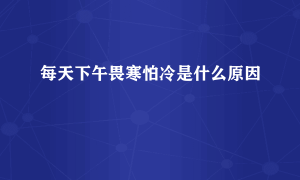 每天下午畏寒怕冷是什么原因