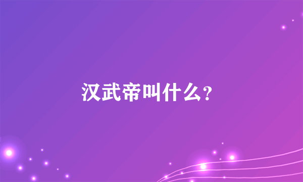 汉武帝叫什么？