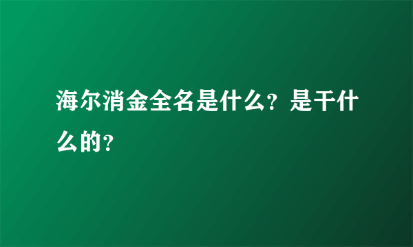 海尔消金全名是什么？是干什么的？