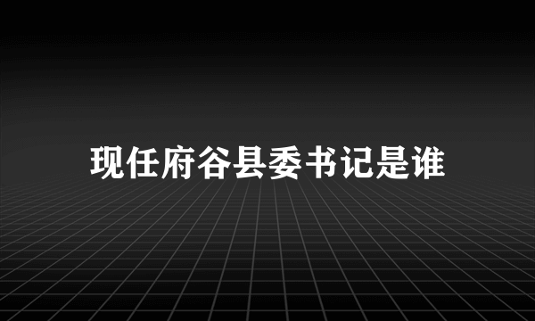 现任府谷县委书记是谁