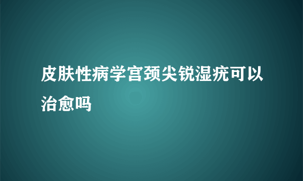 皮肤性病学宫颈尖锐湿疣可以治愈吗