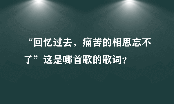 “回忆过去，痛苦的相思忘不了”这是哪首歌的歌词？