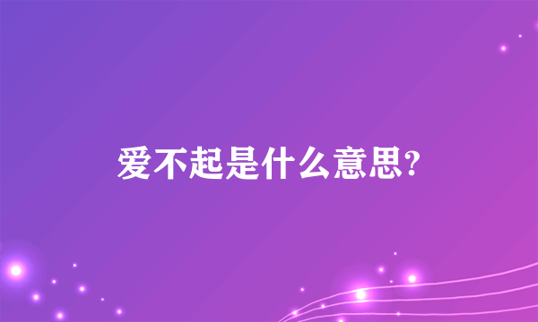 爱不起是什么意思?