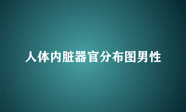 人体内脏器官分布图男性