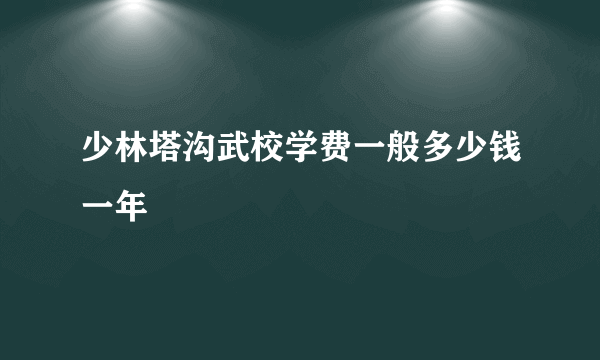 少林塔沟武校学费一般多少钱一年