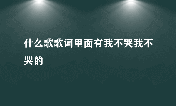 什么歌歌词里面有我不哭我不哭的